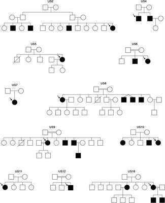 Genetic Screening of the Usher Syndrome in Cuba